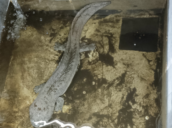 截屏2024-08-16 16.07.27