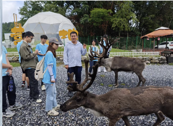 截屏2024-08-16 16.07.41