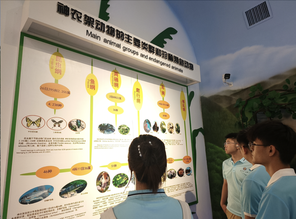 截屏2024-08-16 16.07.47