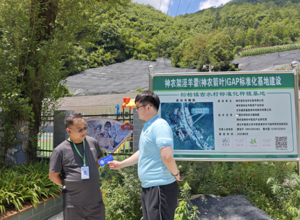 截屏2024-08-16 16.12.16